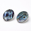 Natural Abalone Shell/Paua ShellOval Clip-on Earrings EJEW-P122-01-1