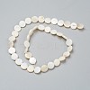 Natural Freshwater Shell Beads BSHE-I011-01D-02-2
