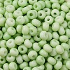 Baking Paint Glass Seed Beads SEED-C003-02D-3