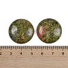 Natural Unakite Cabochons G-H1596-FR-25mm-09-3