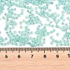 Glass Seed Beads SEED-XCP0001-48-3