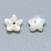 Natural White Shell Beads SSHEL-S260-005-2
