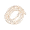 Natural Cultured Freshwater Pearl Beads Strands PEAR-P064-19B-04A-3