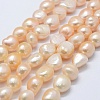 Natural Cultured Freshwater Pearl Beads Strands PEAR-K004-05A-01-1