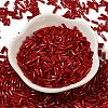 Baking Paint Glass Twist Bugle Beads SEED-C004-02J-2