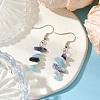 Natural Howlite & White Jade & Sodalite Dangle Earrings EJEW-JE06127-02-2