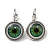 Eye Glass Leverback Earrings with Brass Earring Pins EJEW-Q798-01E-1