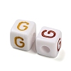 Opaque Acrylic Beads OACR-I022-01G-2