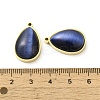 304 Stainless Steel Pendants STAS-L022-045G-07-3