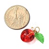 Baking Paint Transparent Glass Charms PALLOY-JF04490-01-2