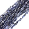 Natural Iolite Beads Strands G-I249-A04-1
