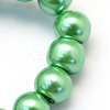 Baking Paint Pearlized Glass Pearl Round Bead Strands HY-Q003-10mm-69-3