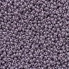 MIYUKI Round Rocailles Beads SEED-JP0008-RR0437-3