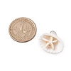 Summer Beach Natural Shell Pendants PALLOY-JF02649-01-2