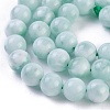 Natural Glass Beads Strands G-I247-15B-3