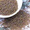 MIYUKI Round Rocailles Beads X-SEED-G007-RR0342-1