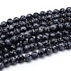 Natural Snowflake Obsidian Round Bead Strands G-J303-09-10mm-1