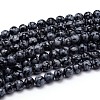Natural Snowflake Obsidian Round Bead Strands G-J303-09-10mm-1