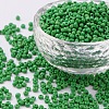 8/0 Glass Seed Beads X2-SEED-A010-3mm-47-1