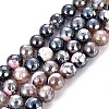 Electroplate Natural Fire Crackle Agate Beads Strands G-T131-55-13-1