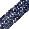 Natural Sodalite Beads Strands G-B138-C12-01-2