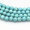 Natural Magnesite Beads Strands TURQ-G103-6mm-01-2
