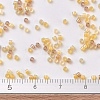 MIYUKI Delica Beads SEED-X0054-DB2061-4