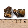 Natural Tiger Eye Rabbit Display Decorations G-R007-02L-3
