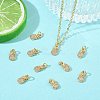 SHEGRACE Brass Micro Pave Cubic Zirconia Pendants XGRQ3D915-478G-5