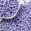 Baking Paint Glass Seed Beads SEED-C003-02H-1