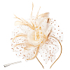 Mesh Veil Hair Bands MRMJ-WH0099-01-1