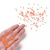 11/0 Grade A Baking Paint Glass Seed Beads X-SEED-N001-A-1067-4