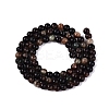 Natural Biotite Beads Strands G-Q616-01A-3