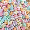 Cartoon Opaque Resin Cabochons RESI-C039-03B-2