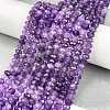 Natural Amethyst Beads Strands G-C127-B02-01-2