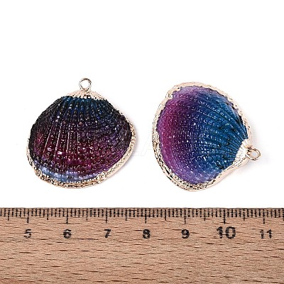 Spray Paint & Electroplate Natural Sea Shell Pendants SSHEL-N042-16A-1