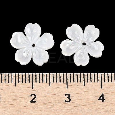 Natural White Shell Carved Beads SSHEL-I026-12D-05-1