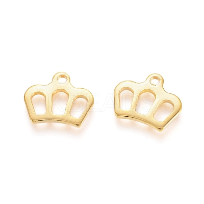 304 Stainless Steel Charms STAS-I123-11G-1