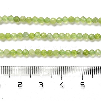 Natural Xiuyan Jade Beads Strands G-Z074-A04-02-1