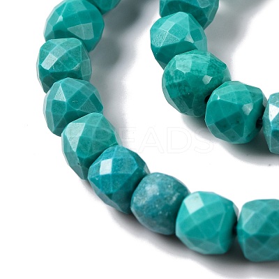 Natural Howlite Beads Strands G-G001-B02-03-1
