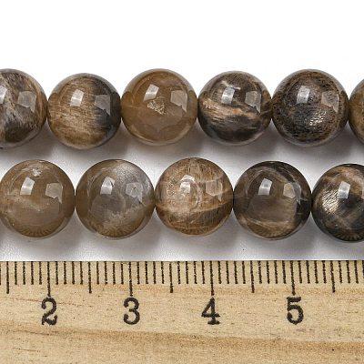 Natural Black Moonstone Beads Strands G-Q183-A01-02-1