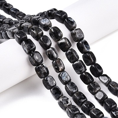 Natural Larvikite Beads Strands G-T138-106-1
