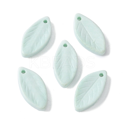 Natural Rainbow Alashan Agate Pendants G-G194-03E-1