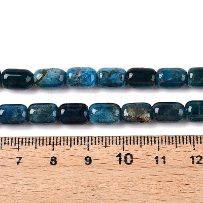 Natural Apatite Beads Strands G-G980-51A-1
