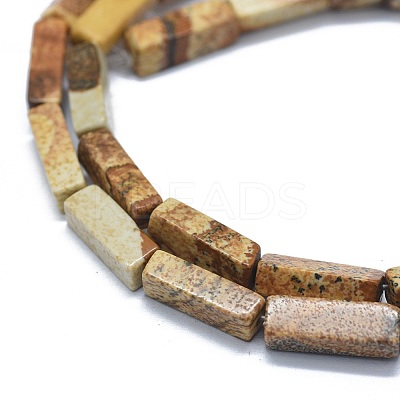 Natural Picture Jasper Beads Strands G-F631-E07-1
