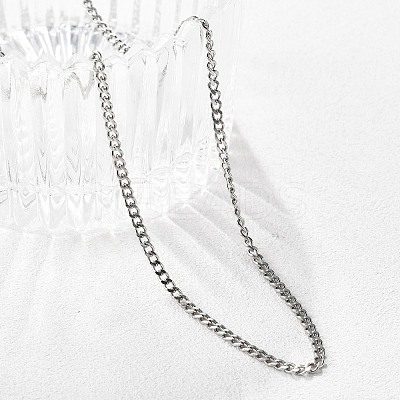 Non-Tarnish 304 Stainless Steel Curb Chain Necklaces NJEW-L162-01C-P-1
