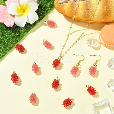 12Pcs 2 Colors Resin Pendants RESI-CJ0004-71-1