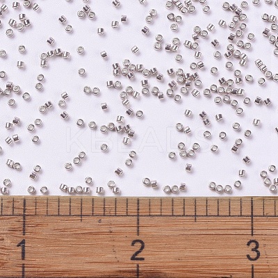 MIYUKI Delica Beads X-SEED-J020-DB0417-1