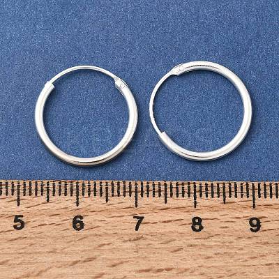 Brass Hoop Earrings EJEW-G474-01S-02-1