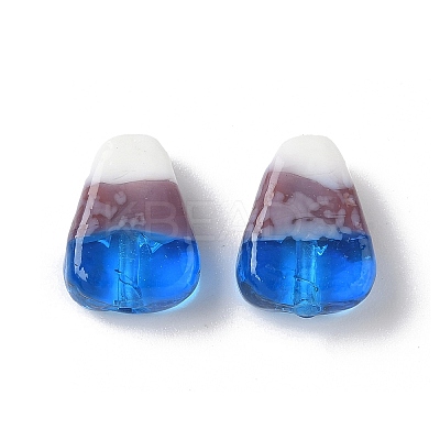 Handmade Lampwork Beads LAMP-Z014-01E-1